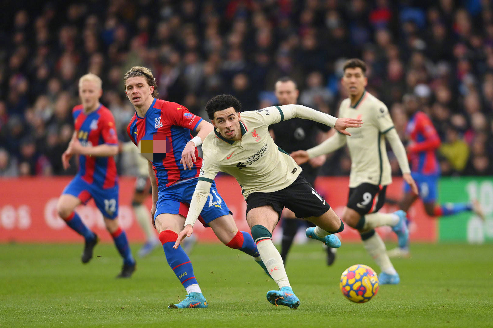 参与各种国 参与各种国